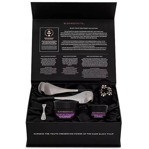 Bloomeffects Black Tulip