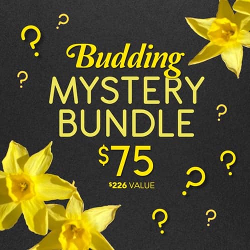 Melt Cosmetics Spring Mystery Bundle