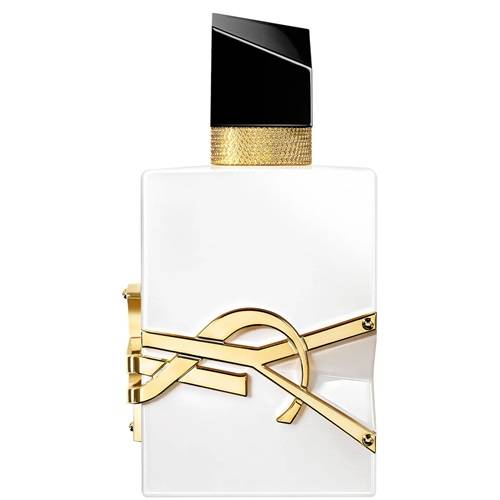YSL Beauty and Fragrance