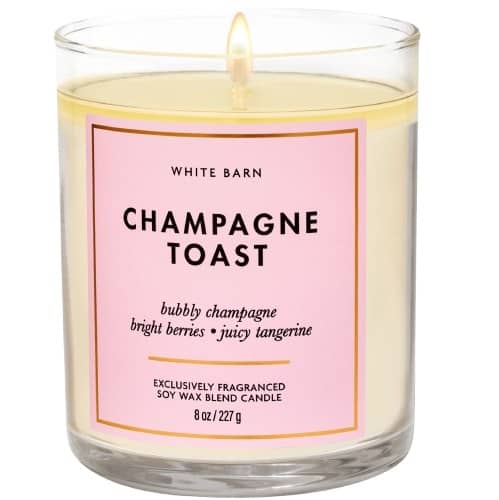 Bath & Body Works Single Wick Candles